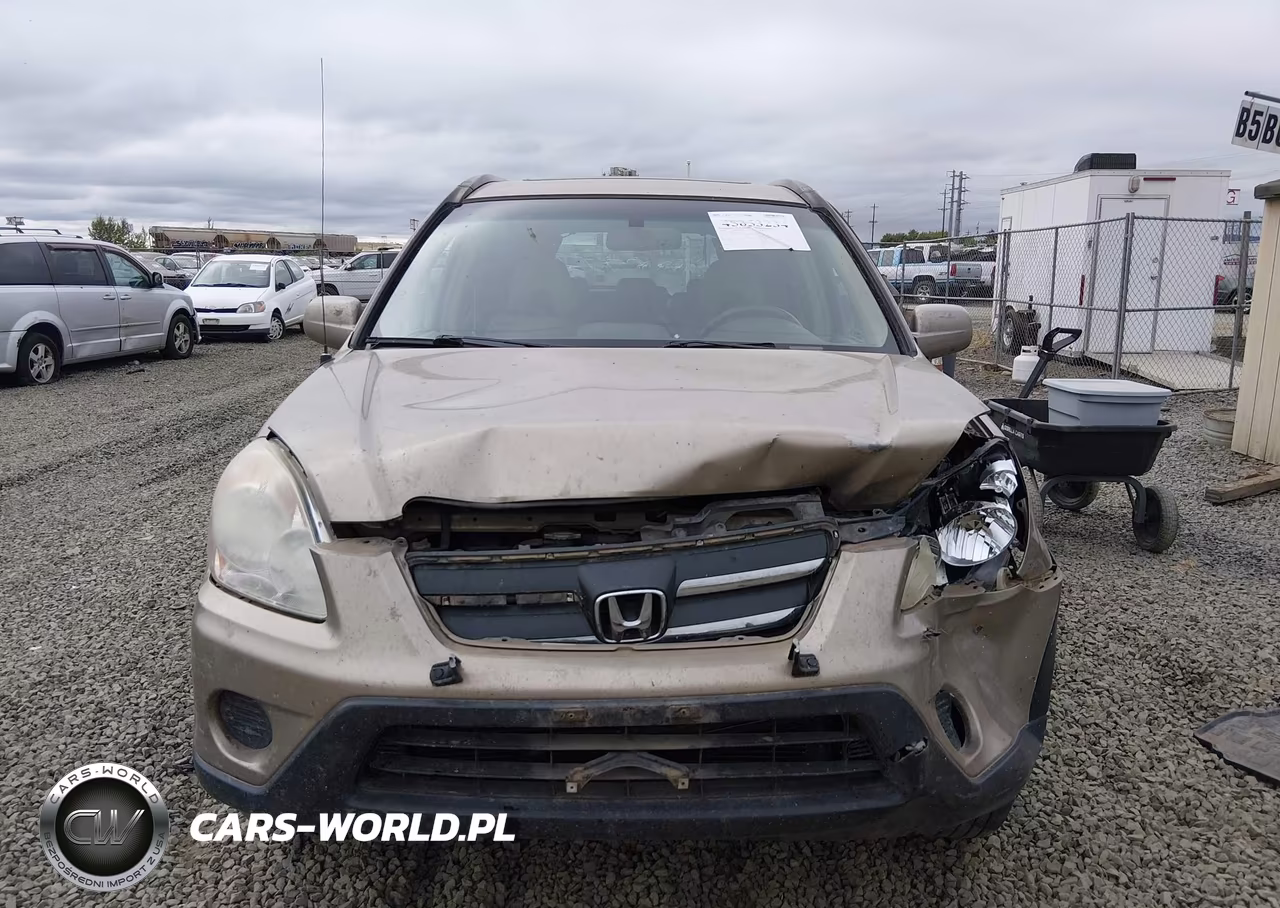 2006 Honda Cr-V Se VIN:JHLRD78996C023245 - 12
