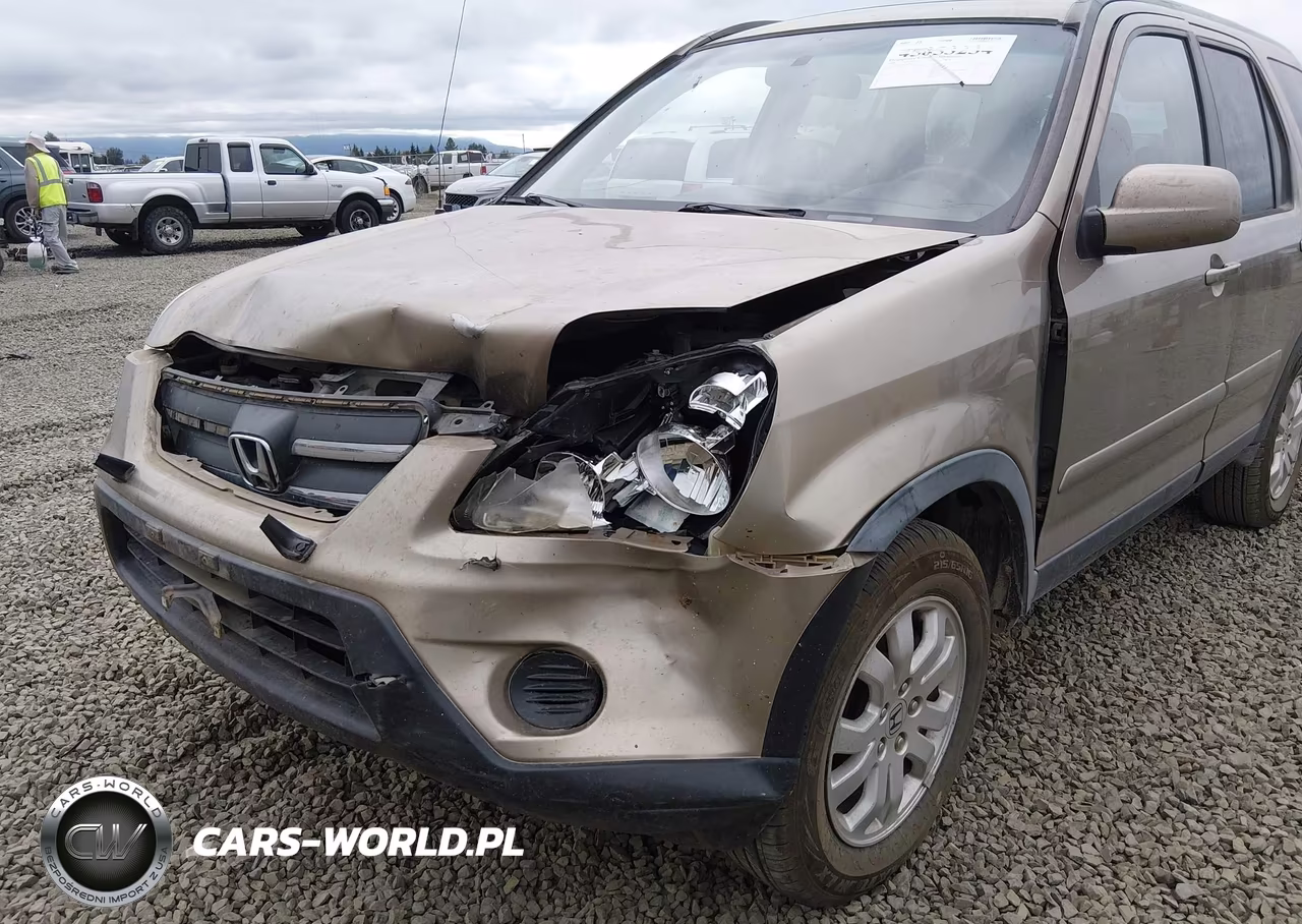 2006 Honda Cr-V Se VIN:JHLRD78996C023245 - 6