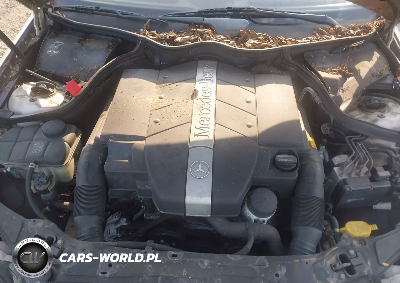2002 Mercedes-Benz C 240 VIN:WDBRF61JX2F163589 - 10