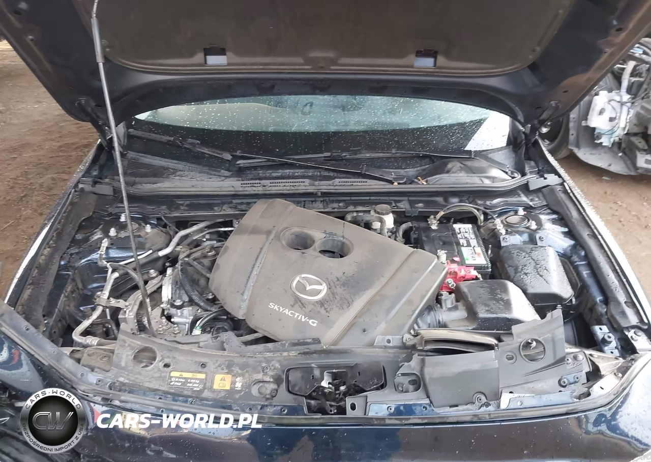 2019 Mazda Mazda3 Preferred Package VIN:JM1BPBDM2K1117315 - 10