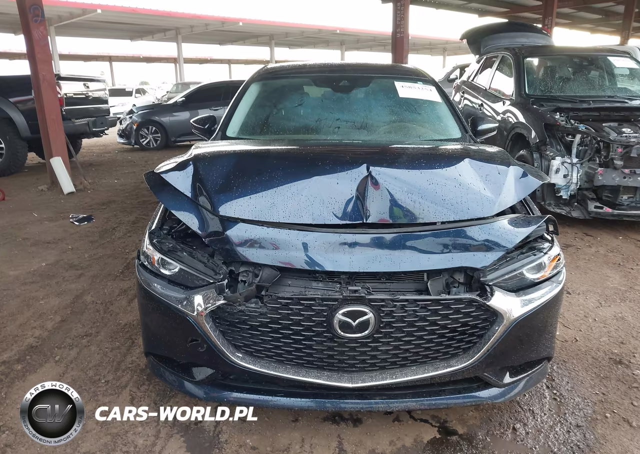 2019 Mazda Mazda3 Preferred Package VIN:JM1BPBDM2K1117315 - 12