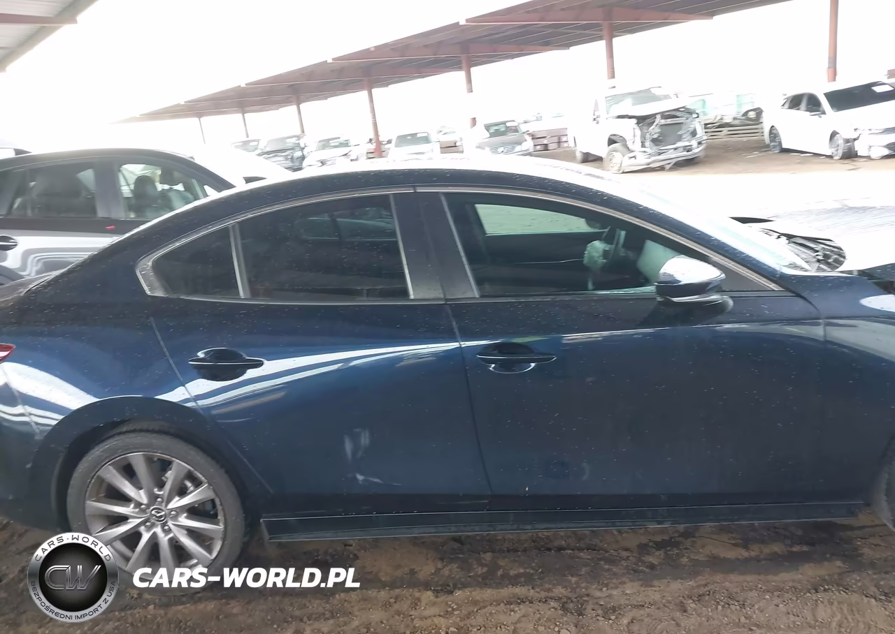 2019 Mazda Mazda3 Preferred Package VIN:JM1BPBDM2K1117315 - 13