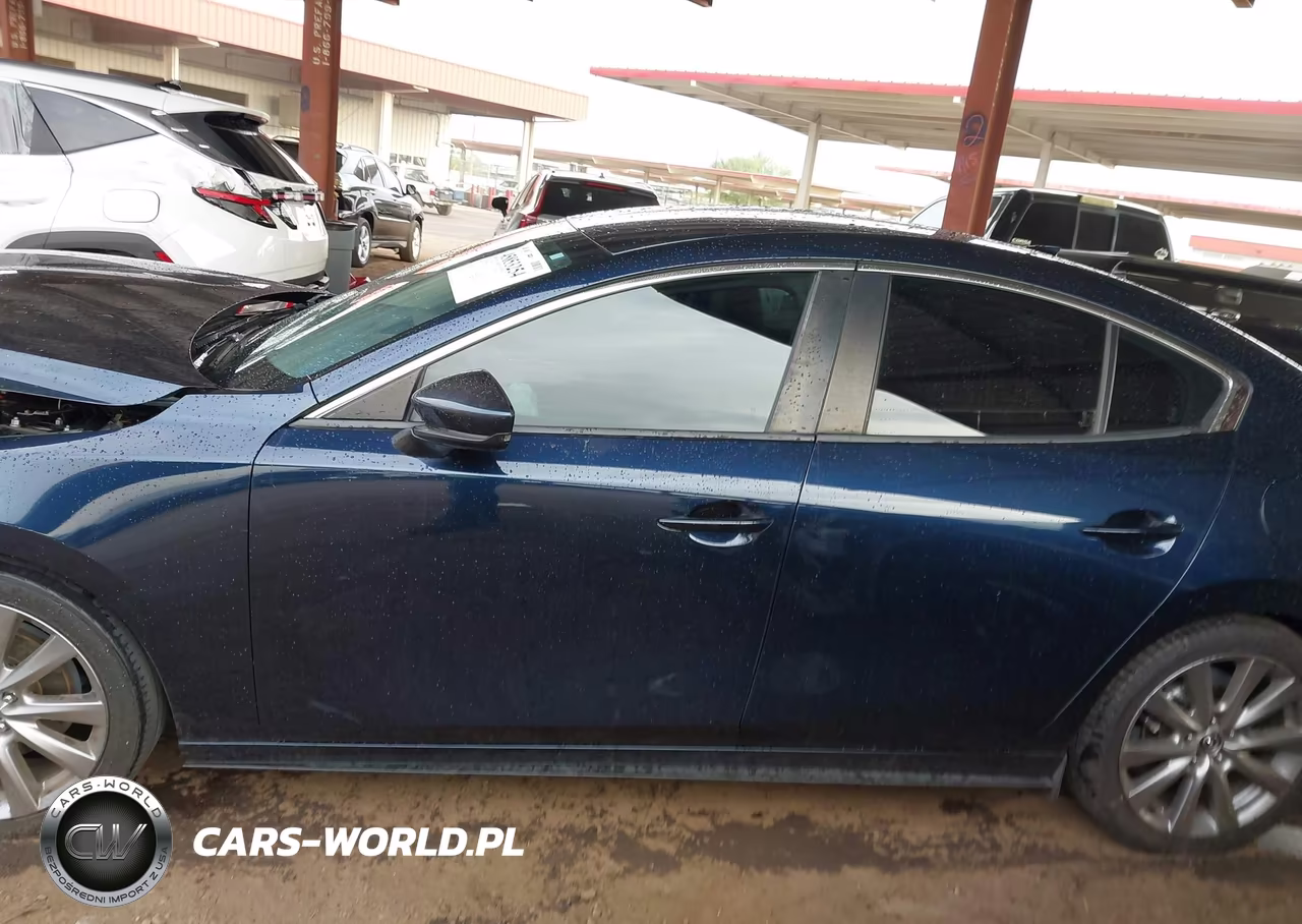 2019 Mazda Mazda3 Preferred Package VIN:JM1BPBDM2K1117315 - 14