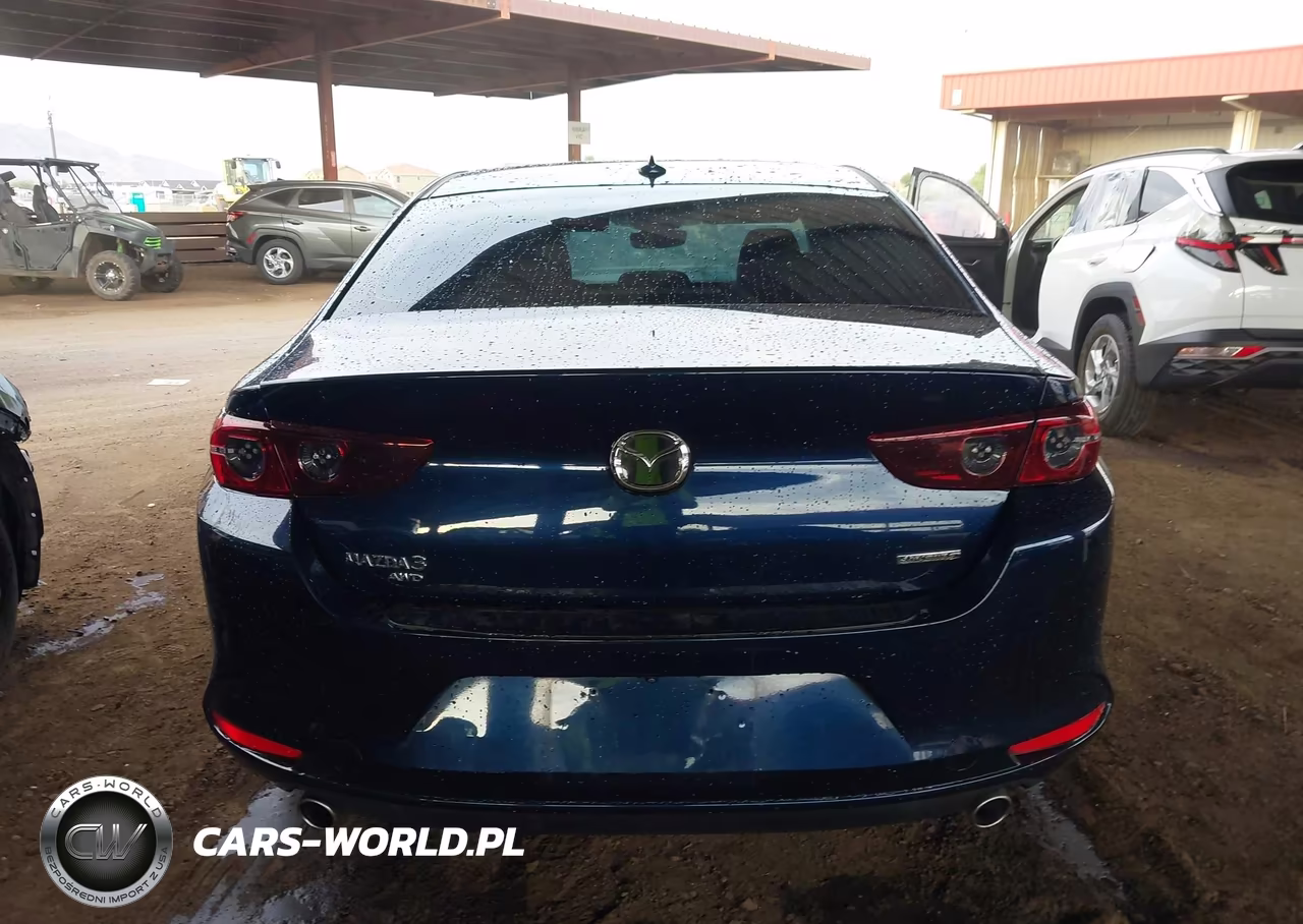 2019 Mazda Mazda3 Preferred Package VIN:JM1BPBDM2K1117315 - 16