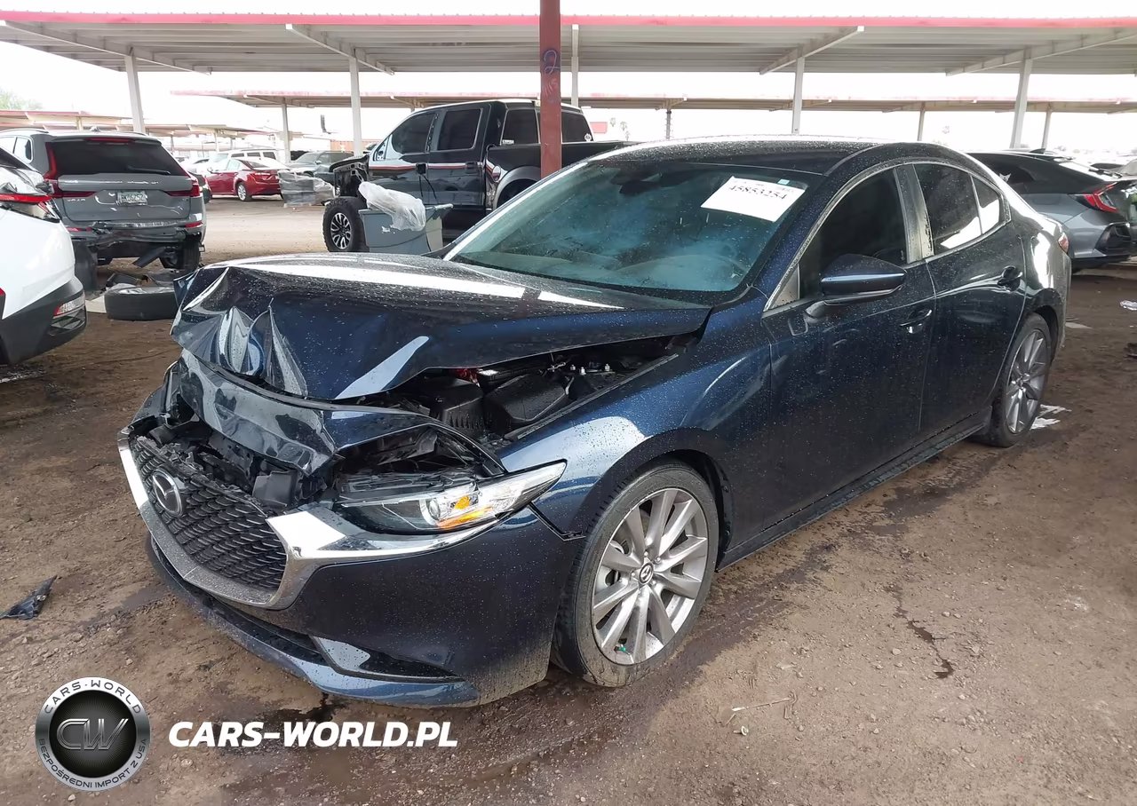 2019 Mazda Mazda3 Preferred Package VIN:JM1BPBDM2K1117315 - 2