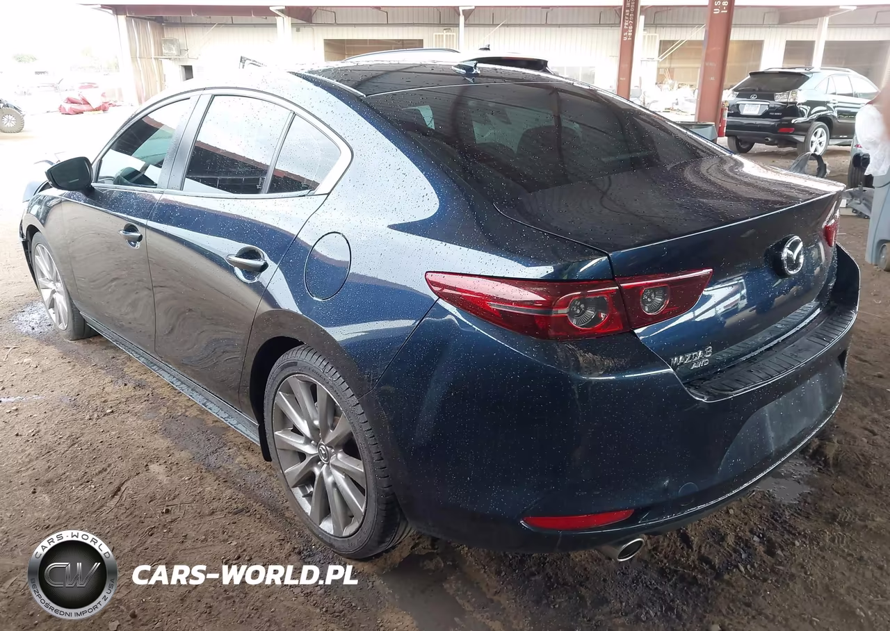 2019 Mazda Mazda3 Preferred Package VIN:JM1BPBDM2K1117315 - 3