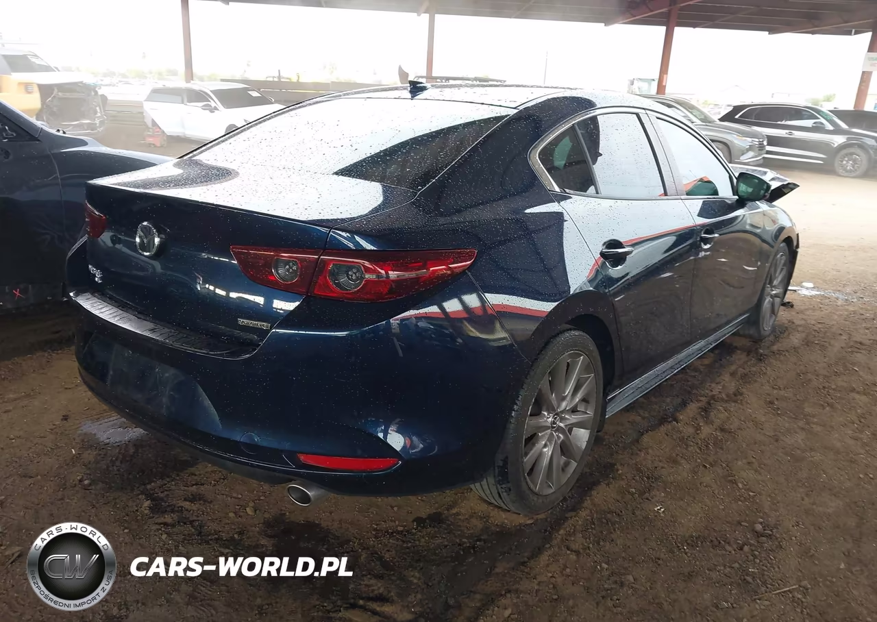 2019 Mazda Mazda3 Preferred Package VIN:JM1BPBDM2K1117315 - 4