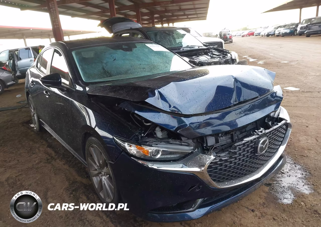 2019 Mazda Mazda3 Preferred Package VIN:JM1BPBDM2K1117315 - 6