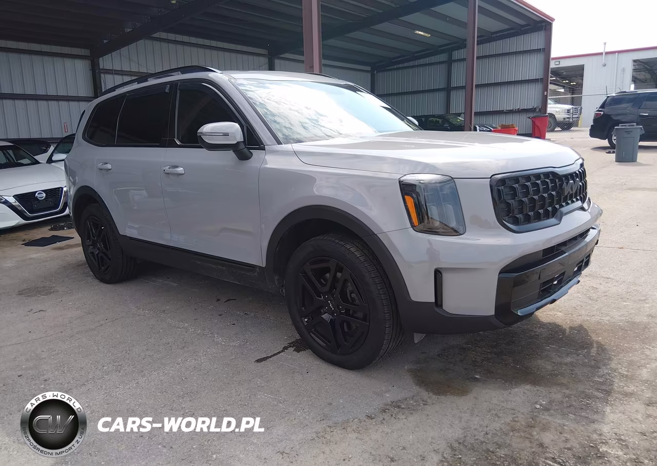 2024 Kia Telluride Ex X-Line VIN:5XYP3DGC4RG553383 - 1