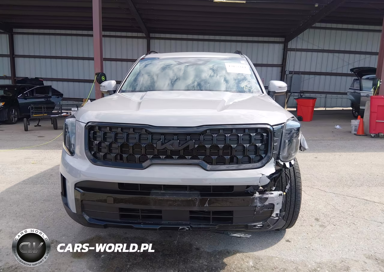 2024 Kia Telluride Ex X-Line VIN:5XYP3DGC4RG553383 - 12