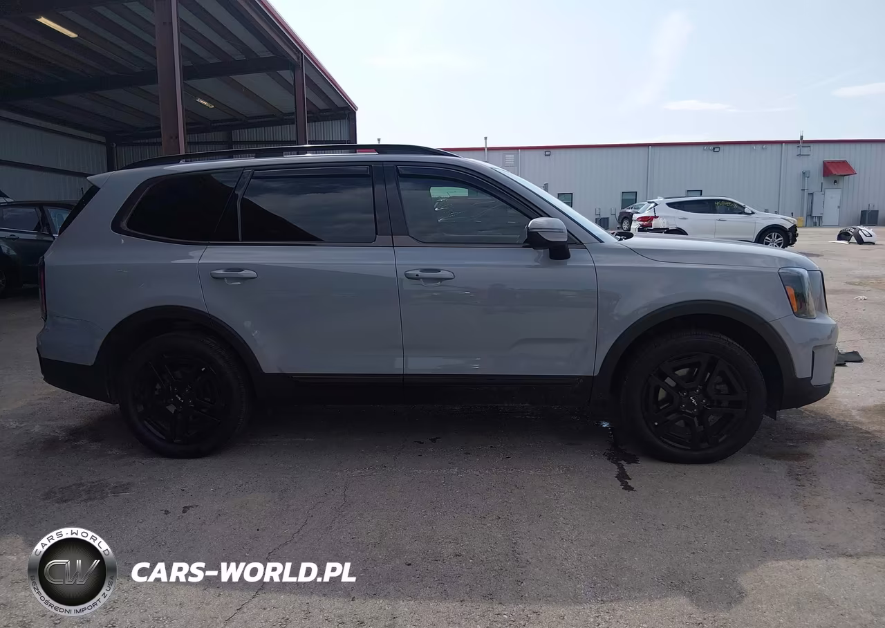 2024 Kia Telluride Ex X-Line VIN:5XYP3DGC4RG553383 - 13