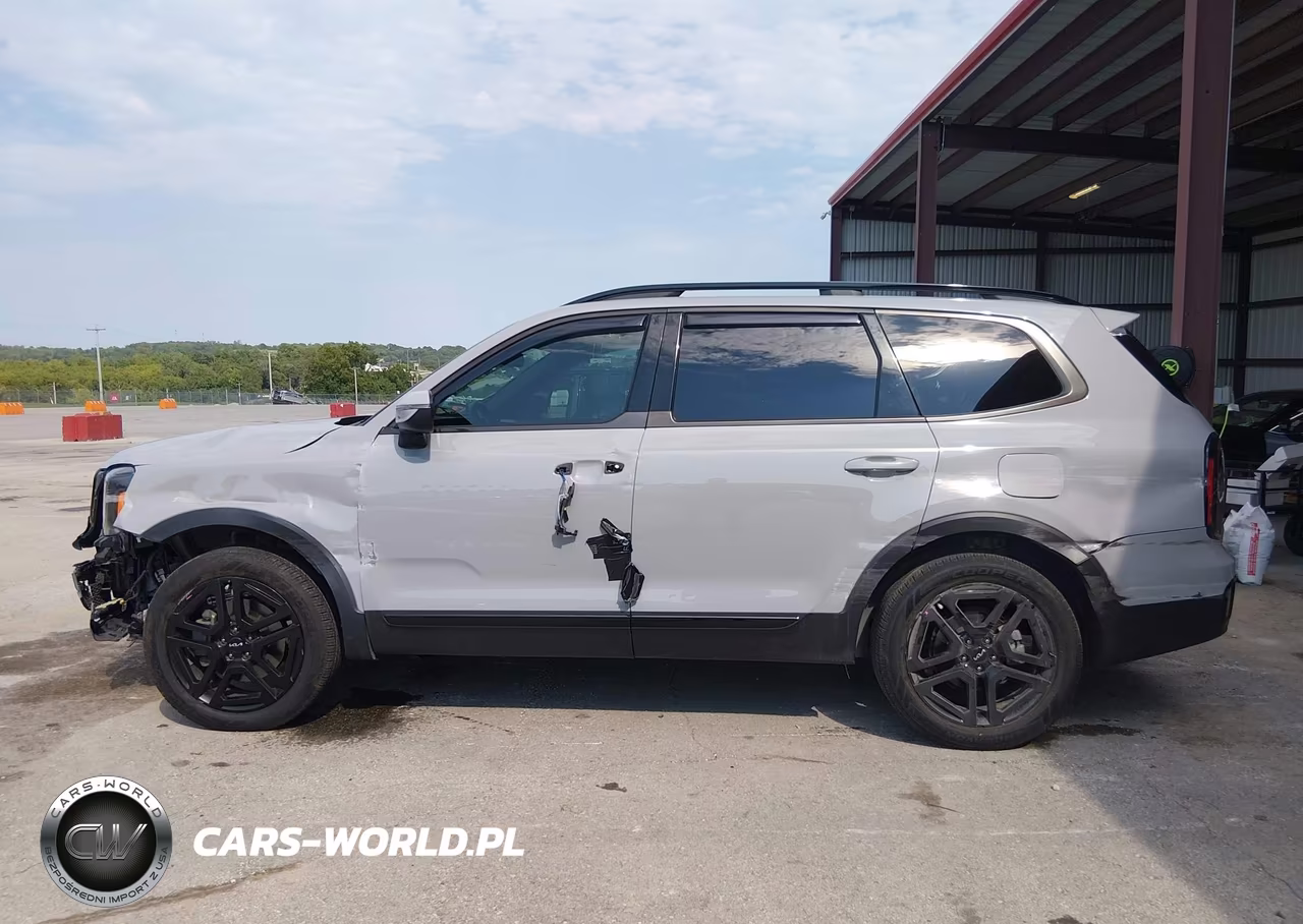 2024 Kia Telluride Ex X-Line VIN:5XYP3DGC4RG553383 - 14