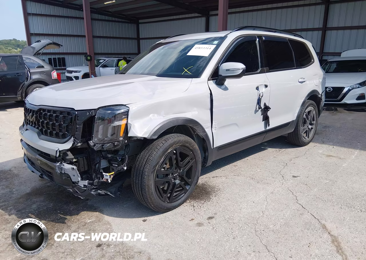 2024 Kia Telluride Ex X-Line VIN:5XYP3DGC4RG553383 - 2