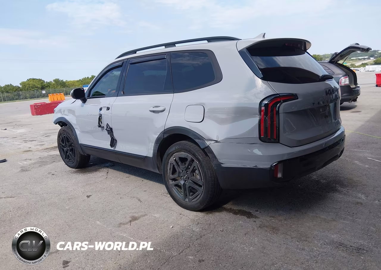 2024 Kia Telluride Ex X-Line VIN:5XYP3DGC4RG553383 - 3