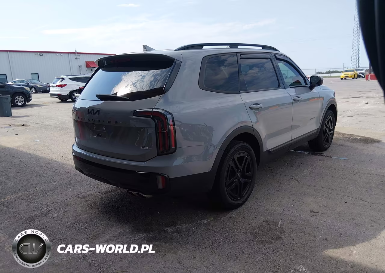 2024 Kia Telluride Ex X-Line VIN:5XYP3DGC4RG553383 - 4