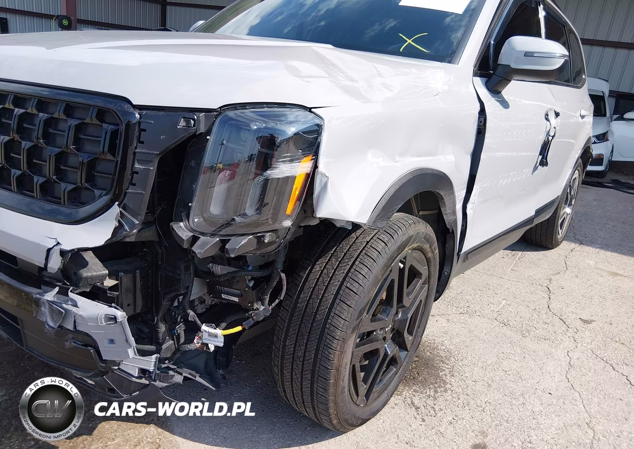 2024 Kia Telluride Ex X-Line VIN:5XYP3DGC4RG553383 - 6