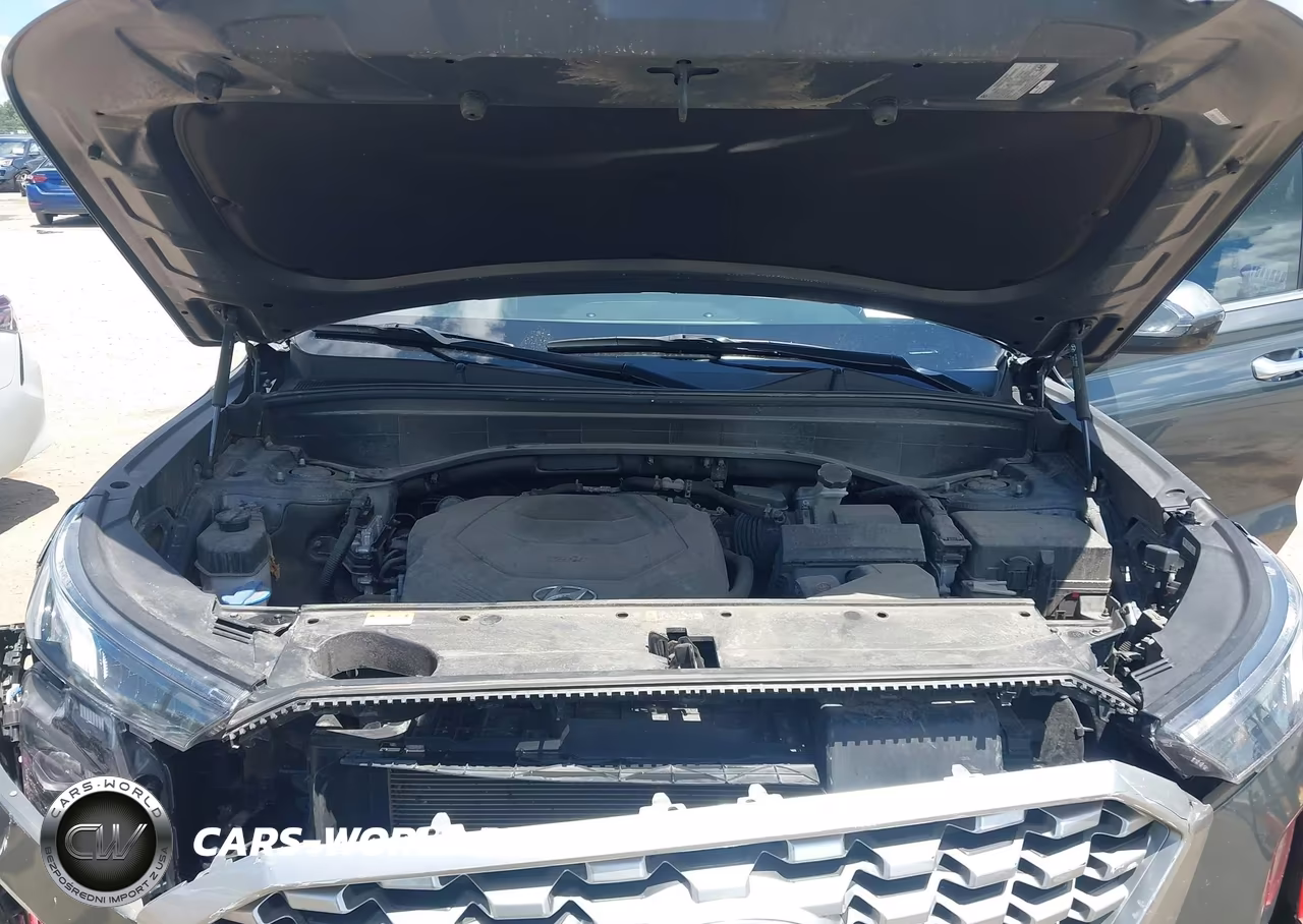 2021 Hyundai Palisade Sel VIN:KM8R4DHE2MU239644 - 10