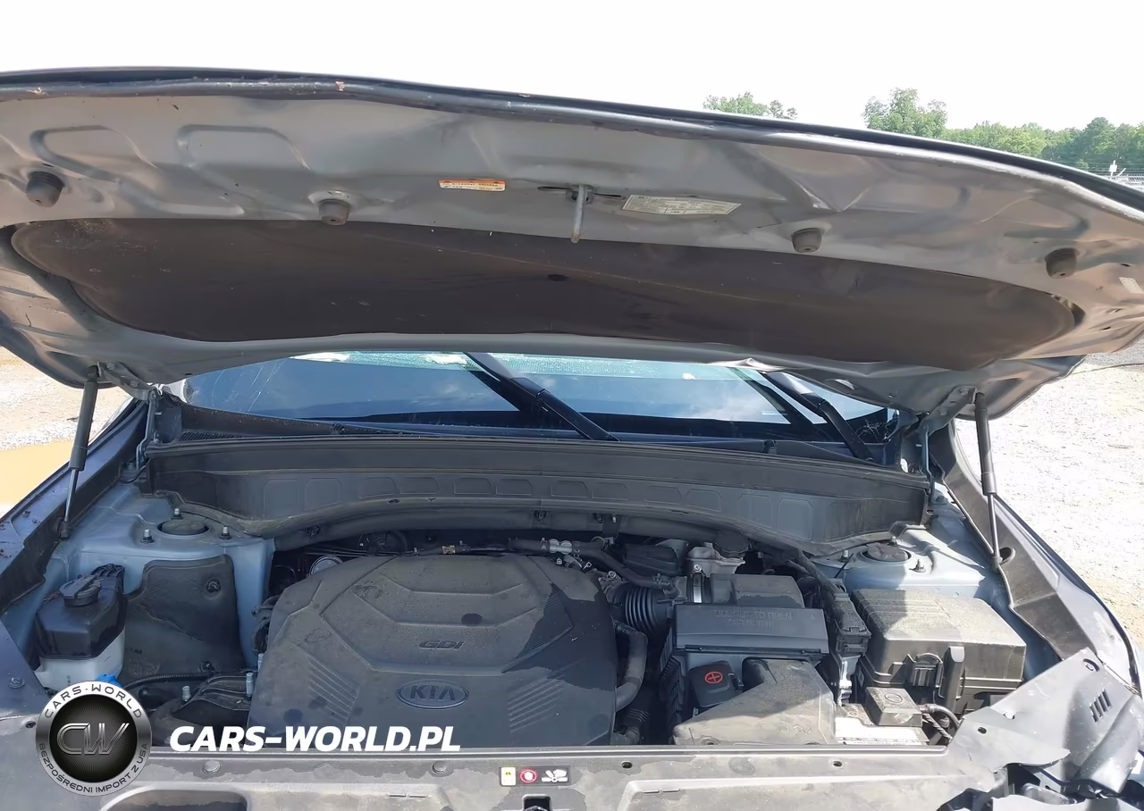 2020 Kia Telluride S VIN:5XYP64HC5LG027227 - 10