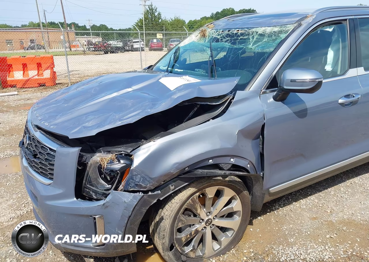 2020 Kia Telluride S VIN:5XYP64HC5LG027227 - 12