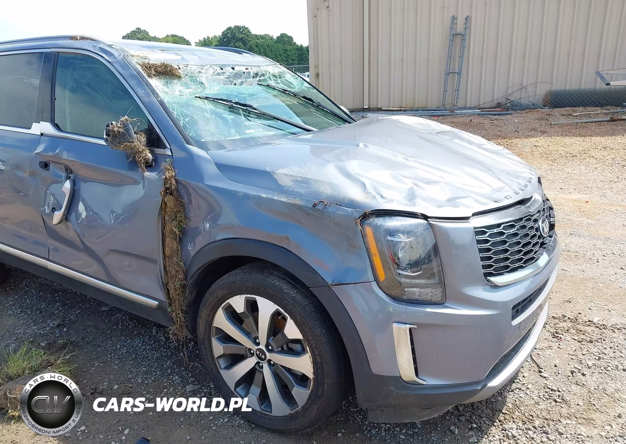 2020 Kia Telluride S VIN:5XYP64HC5LG027227 - 13