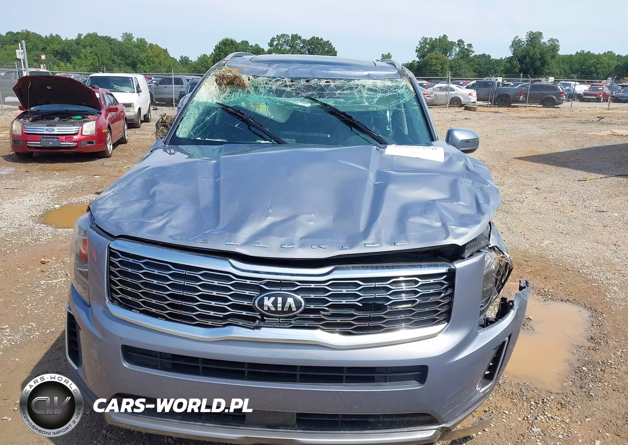2020 Kia Telluride S VIN:5XYP64HC5LG027227 - 6