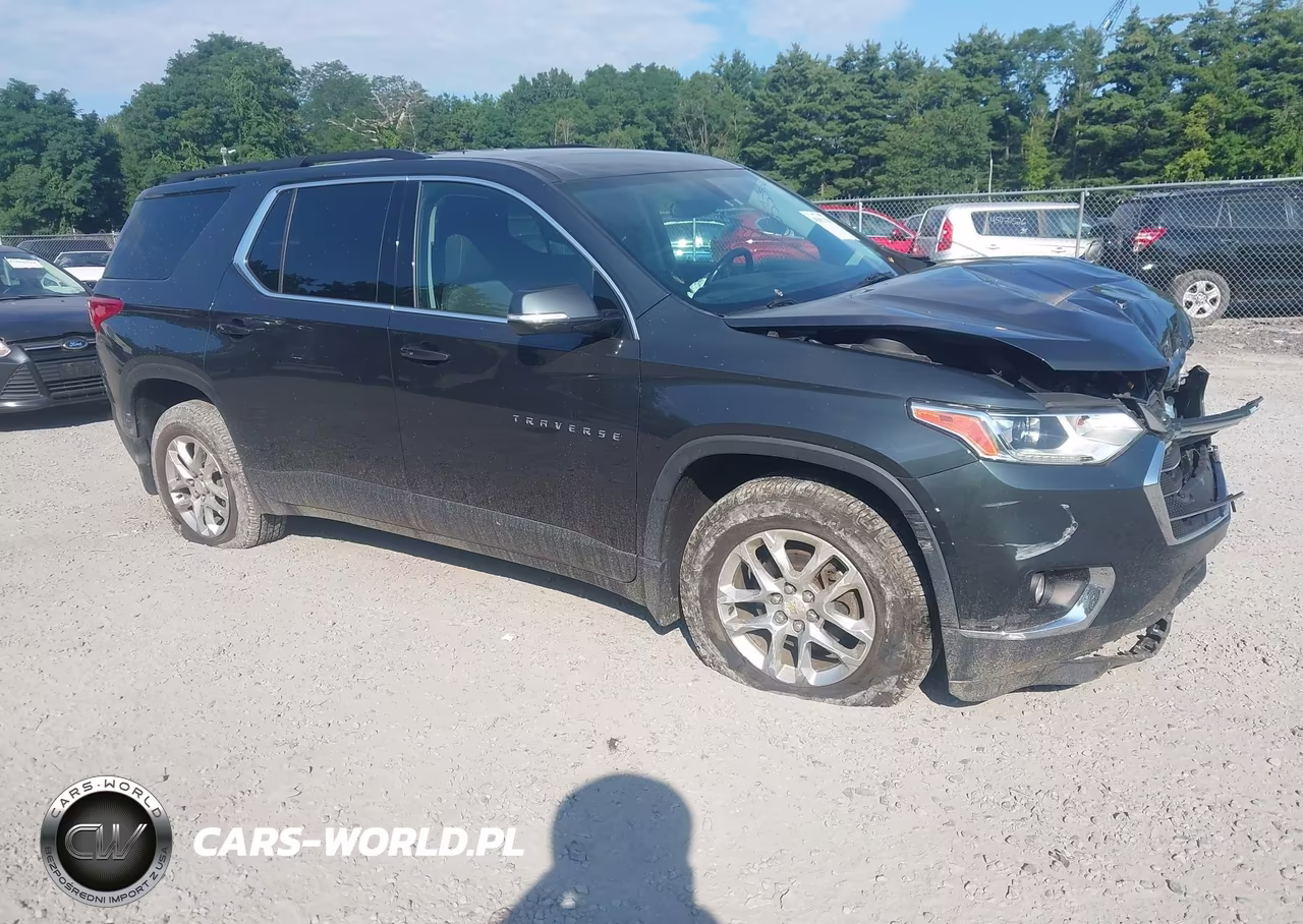 2019 Chevrolet Traverse 1Lt VIN:1GNEVGKW0KJ224732 - 1