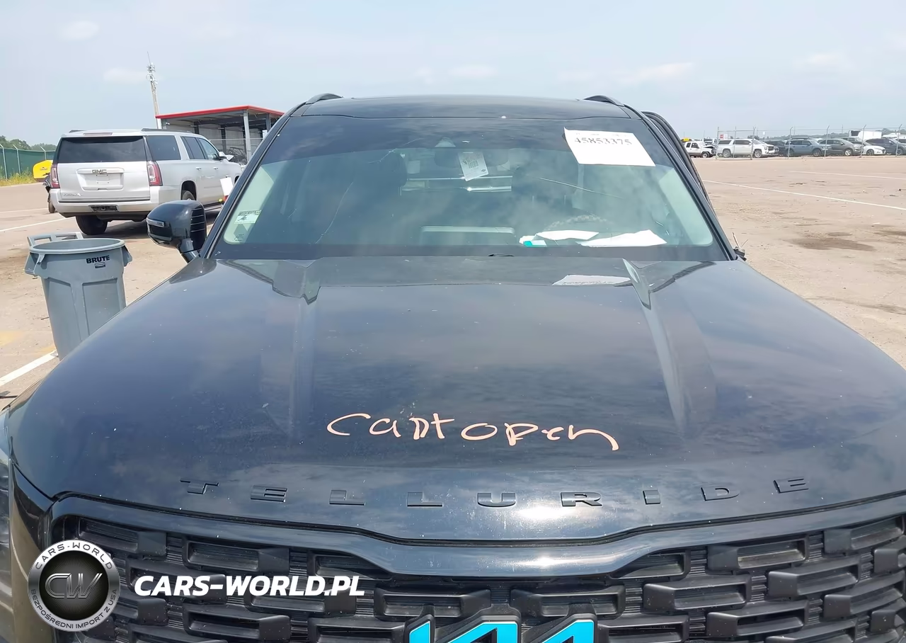 2022 Kia Telluride Sx VIN:5XYP5DHC3NG228758 - 10