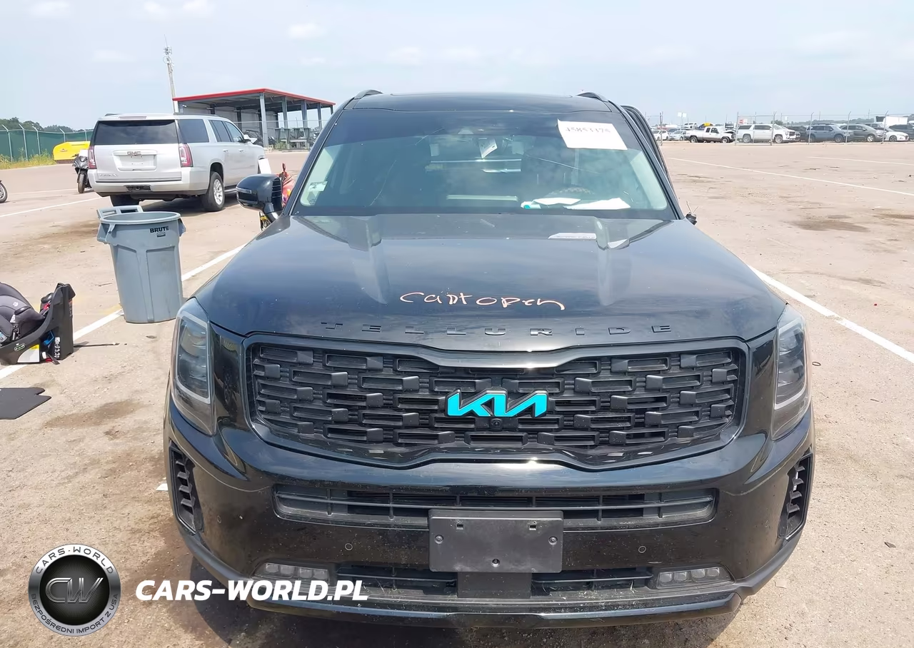 2022 Kia Telluride Sx VIN:5XYP5DHC3NG228758 - 11