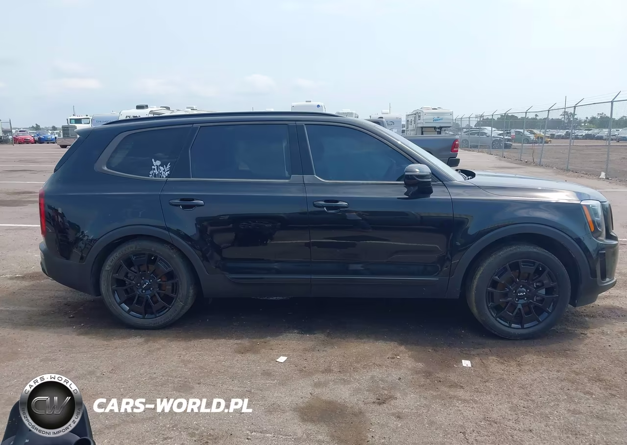 2022 Kia Telluride Sx VIN:5XYP5DHC3NG228758 - 12