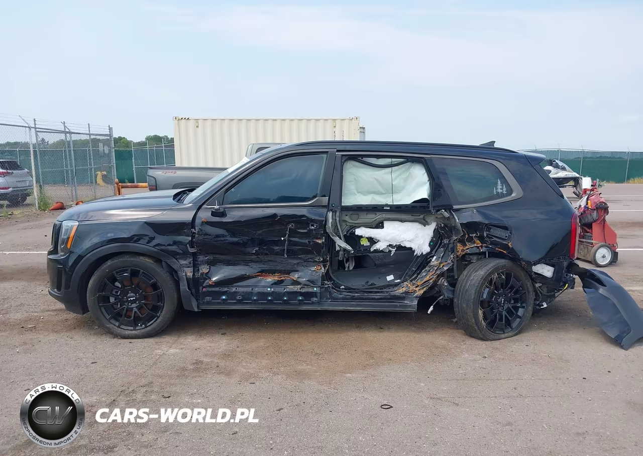 2022 Kia Telluride Sx VIN:5XYP5DHC3NG228758 - 13