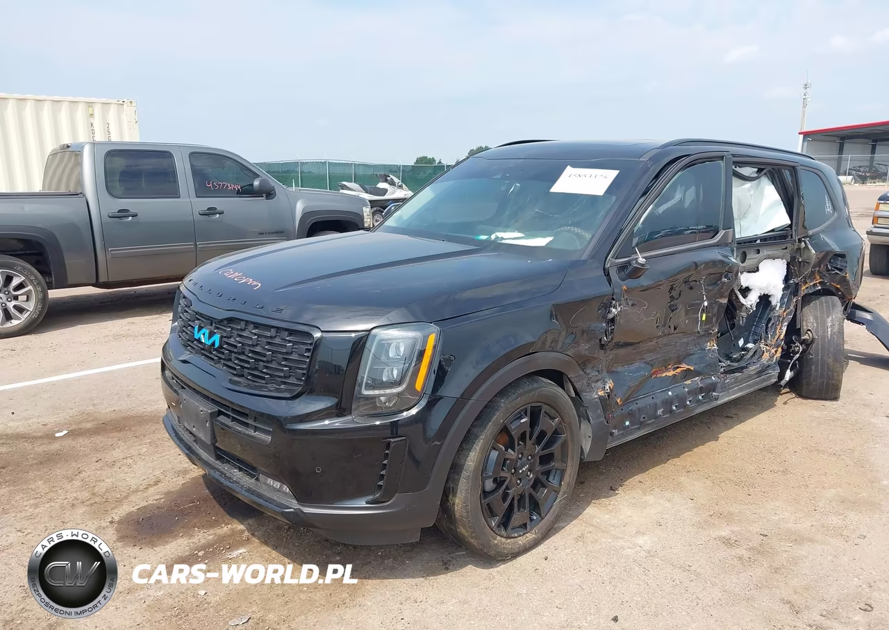 2022 Kia Telluride Sx VIN:5XYP5DHC3NG228758 - 2
