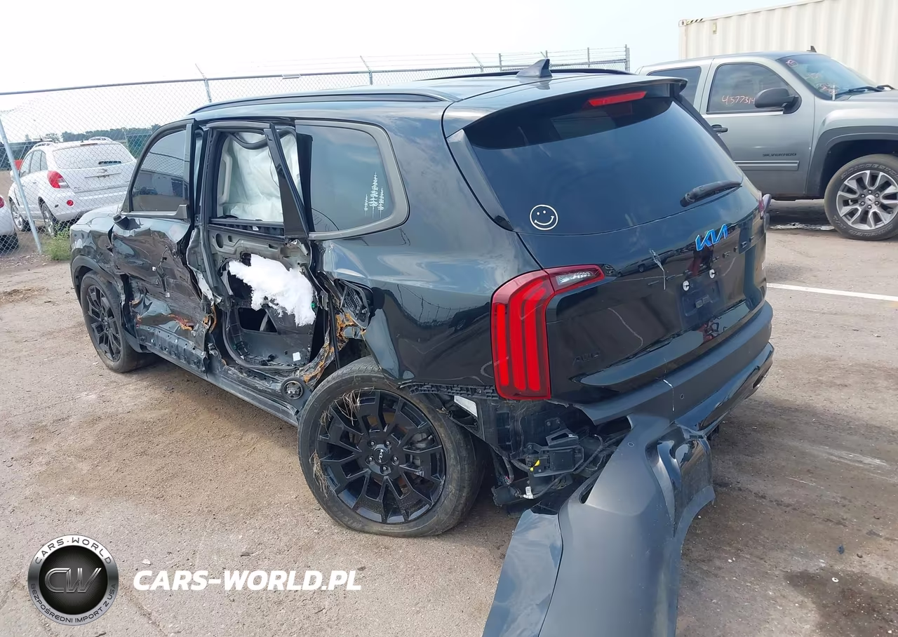 2022 Kia Telluride Sx VIN:5XYP5DHC3NG228758 - 3