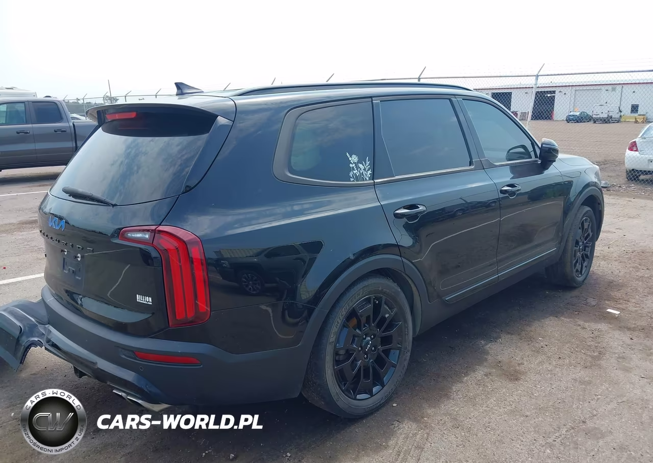2022 Kia Telluride Sx VIN:5XYP5DHC3NG228758 - 4