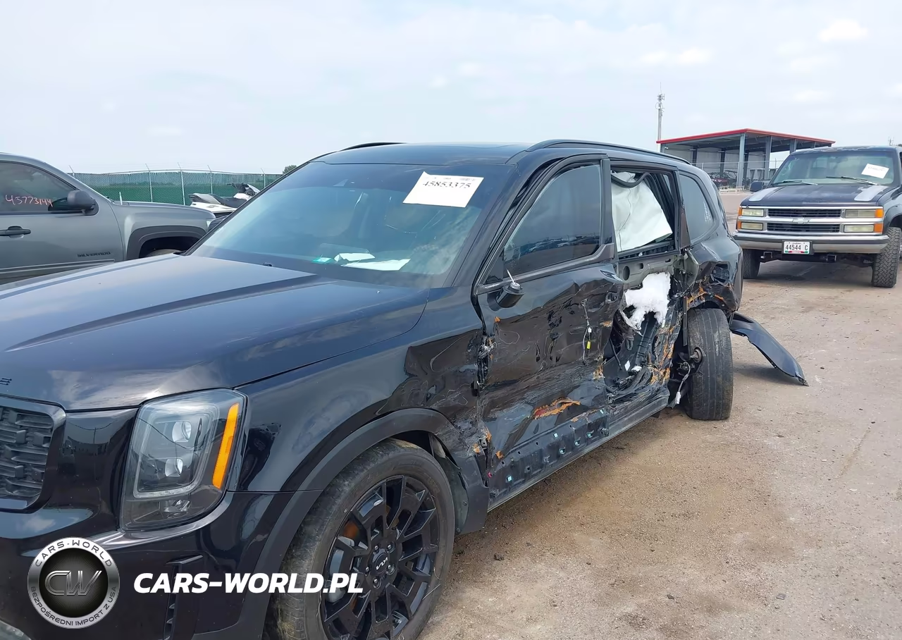 2022 Kia Telluride Sx VIN:5XYP5DHC3NG228758 - 6