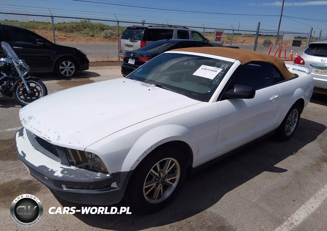 2005 Ford Mustang VIN:1ZVFT84N355256534 - 2
