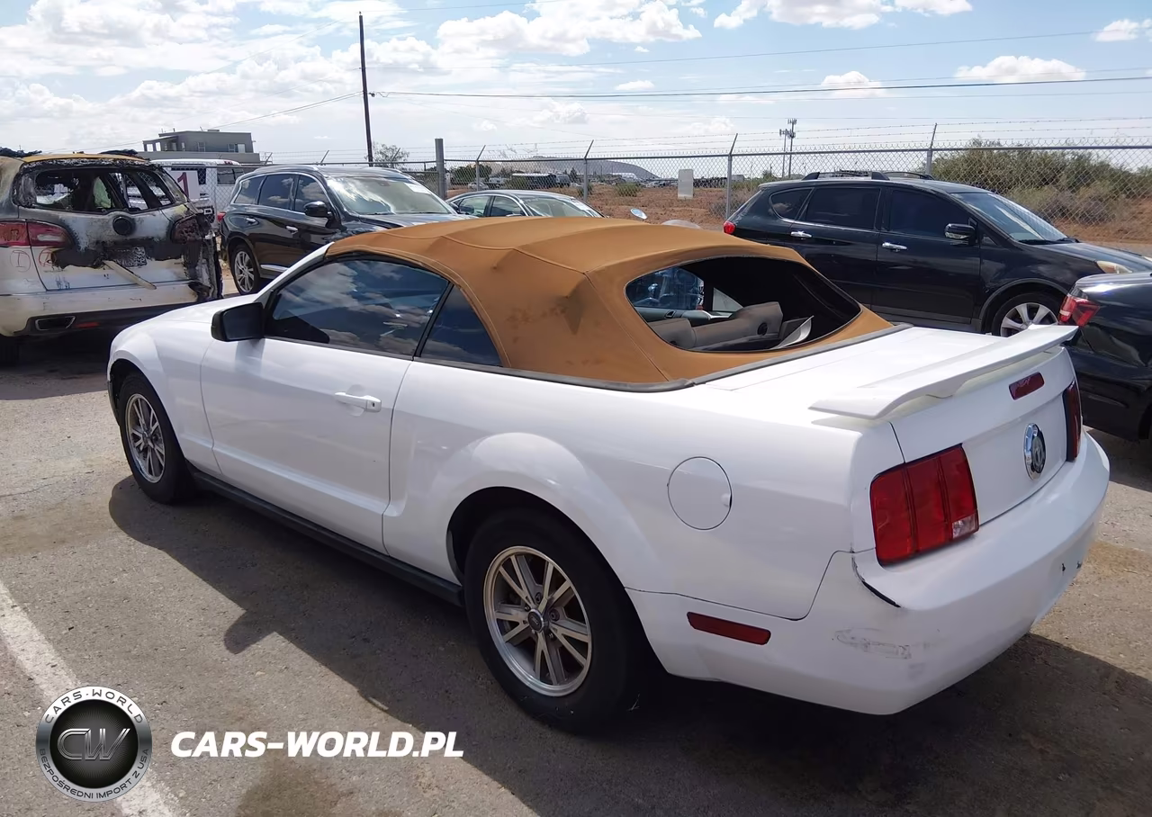 2005 Ford Mustang VIN:1ZVFT84N355256534 - 3