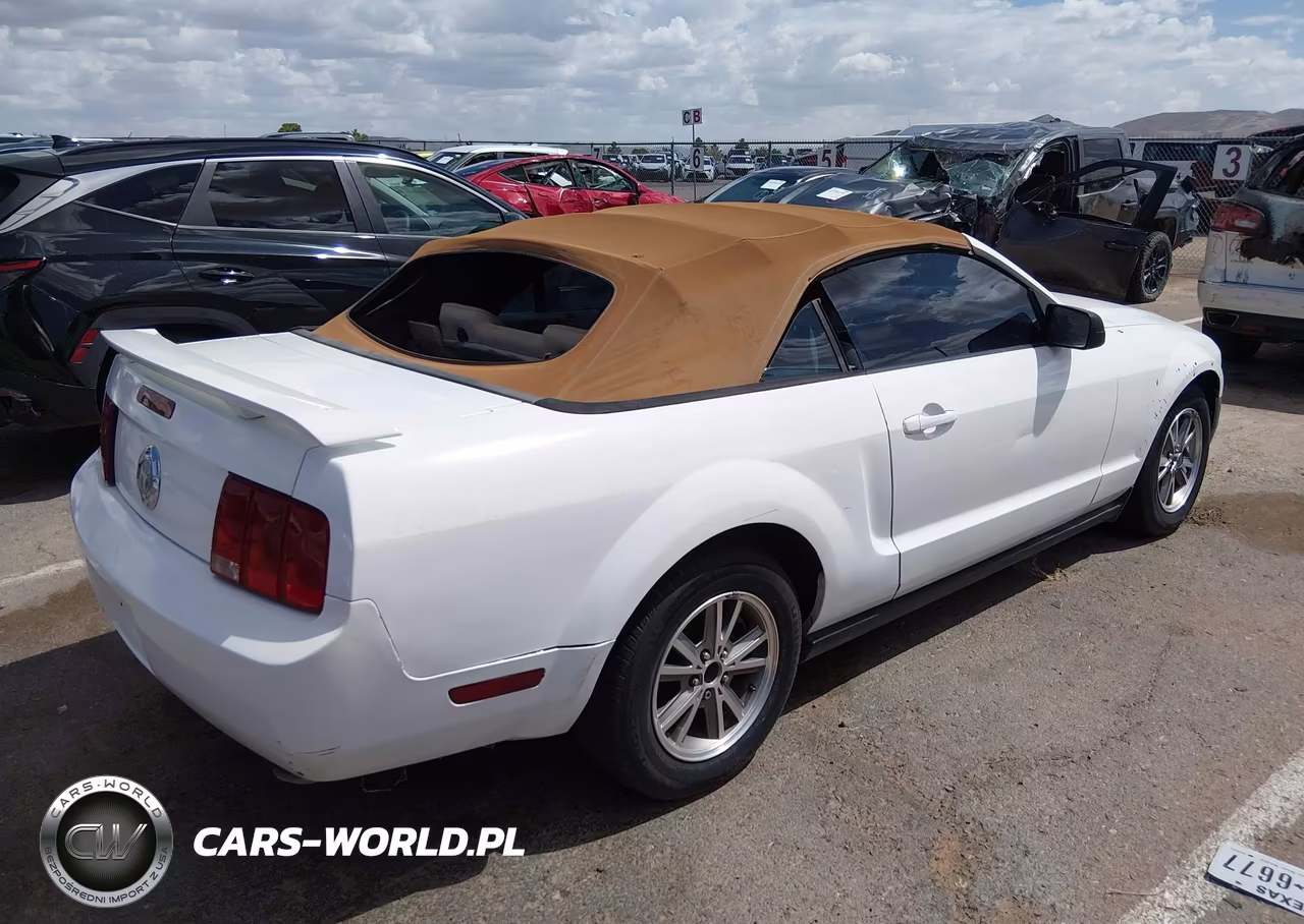 2005 Ford Mustang VIN:1ZVFT84N355256534 - 4