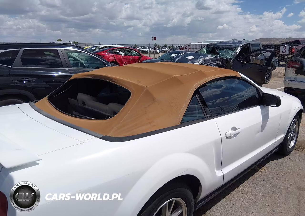 2005 Ford Mustang VIN:1ZVFT84N355256534 - 6