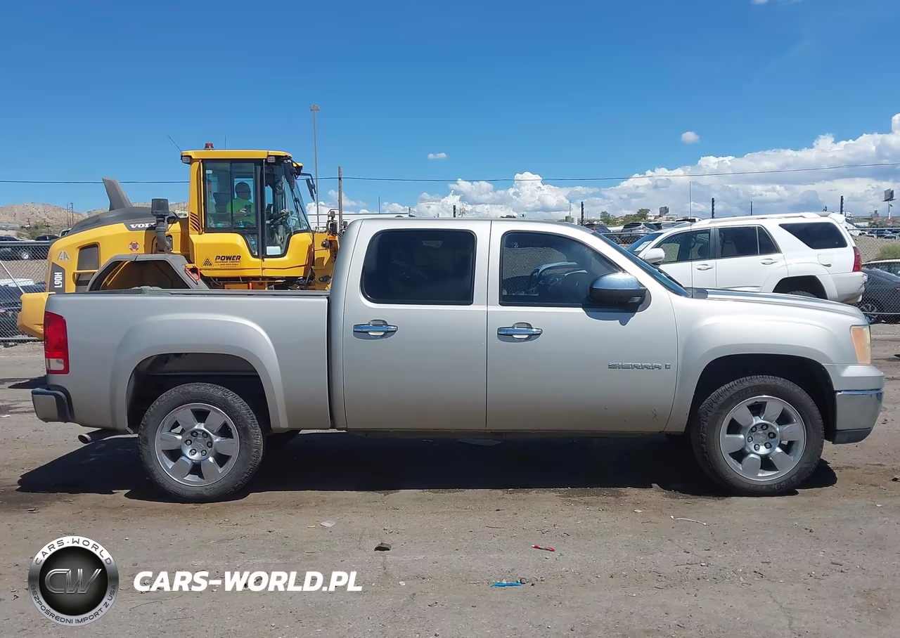 2009 GMC Sierra 1500 Sle VIN:3GTEC23J59G186463 - 13