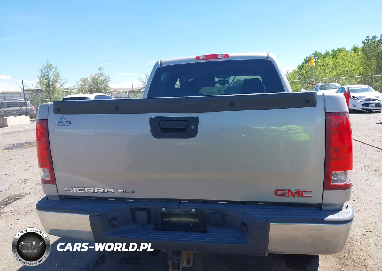 2009 GMC Sierra 1500 Sle VIN:3GTEC23J59G186463 - 16
