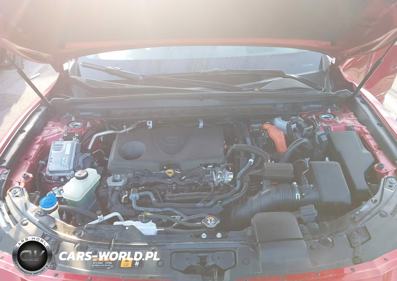2025 Mazda Cx-50 Hybrid Premium Plus Package VIN:7MMVAAEW9SN130807 - 10