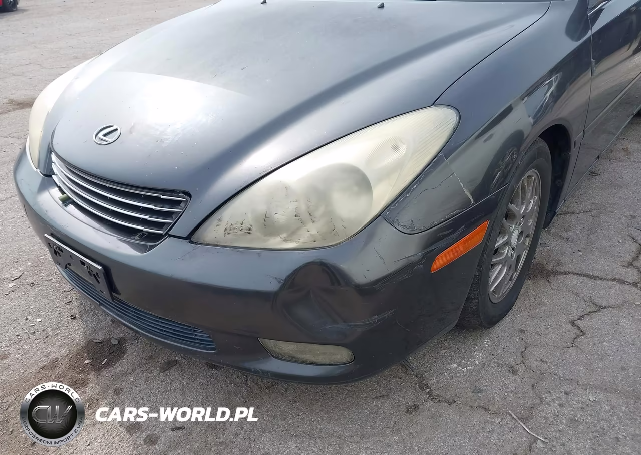 2004 Lexus Es 330 VIN:JTHBA30G245048157 - 6