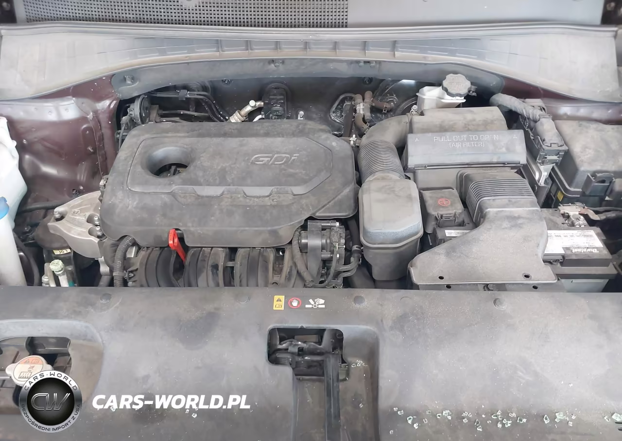 2018 Kia Sorento 2.4L Lx VIN:5XYPG4A30JG358818 - 10