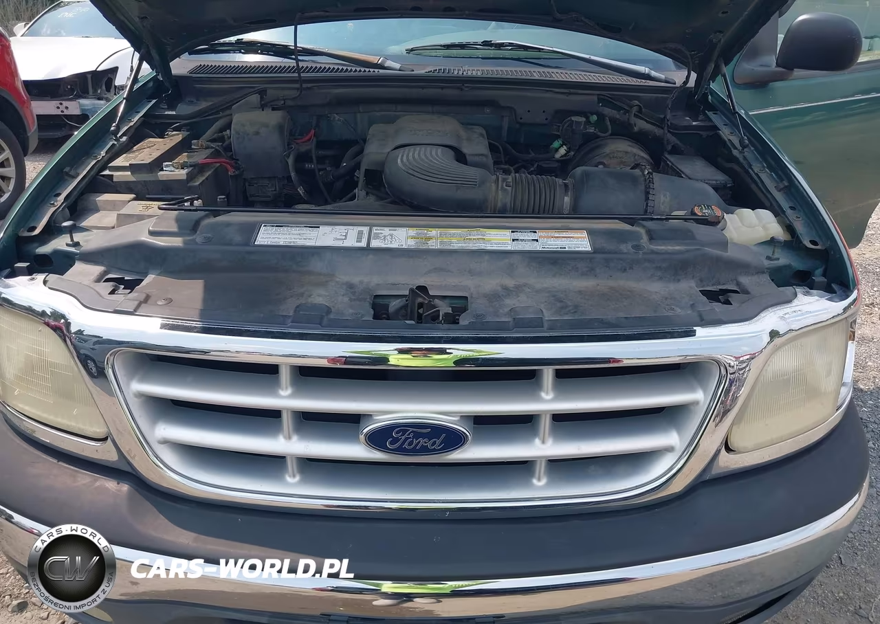 1999 Ford F-150 Lariat-Work Series-Xl-Xlt VIN:1FTRF18WXXNA41298 - 10
