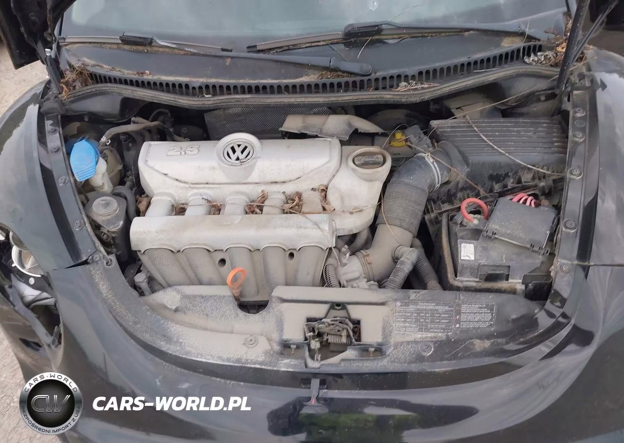 2009 Volkswagen New Beetle 2.5L VIN:3VWPW31C49M506476 - 10