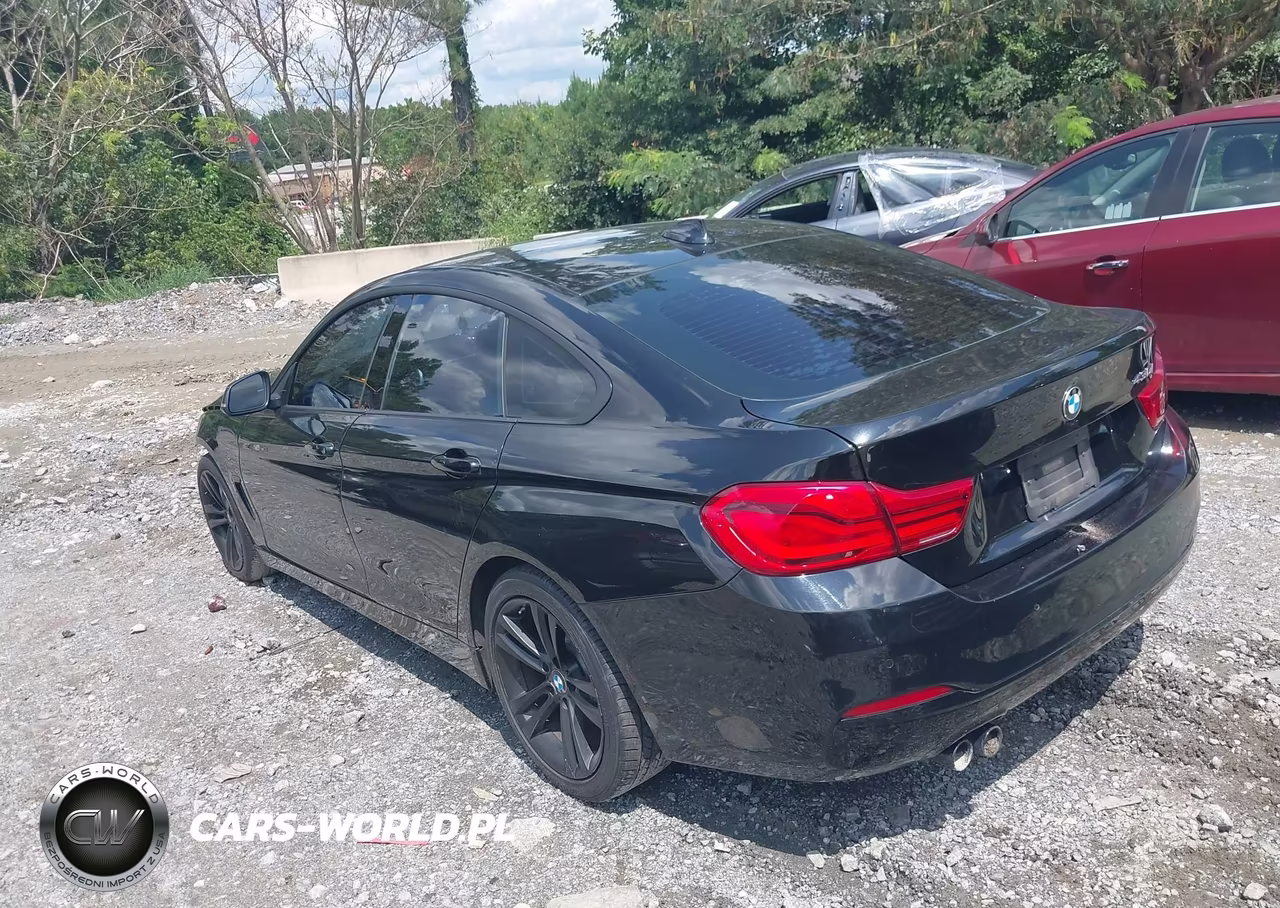2018 BMW 430I Gran Coupe VIN:WBA4J1C56JBM10462 - 14
