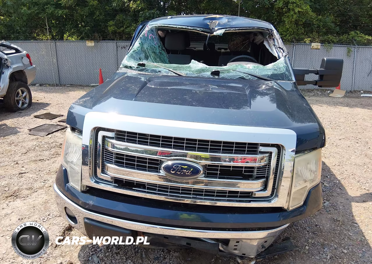 2013 Ford F-150 Xlt VIN:1FTFW1ETXDFB11918 - 13