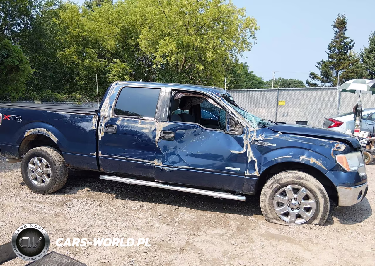 2013 Ford F-150 Xlt VIN:1FTFW1ETXDFB11918 - 14