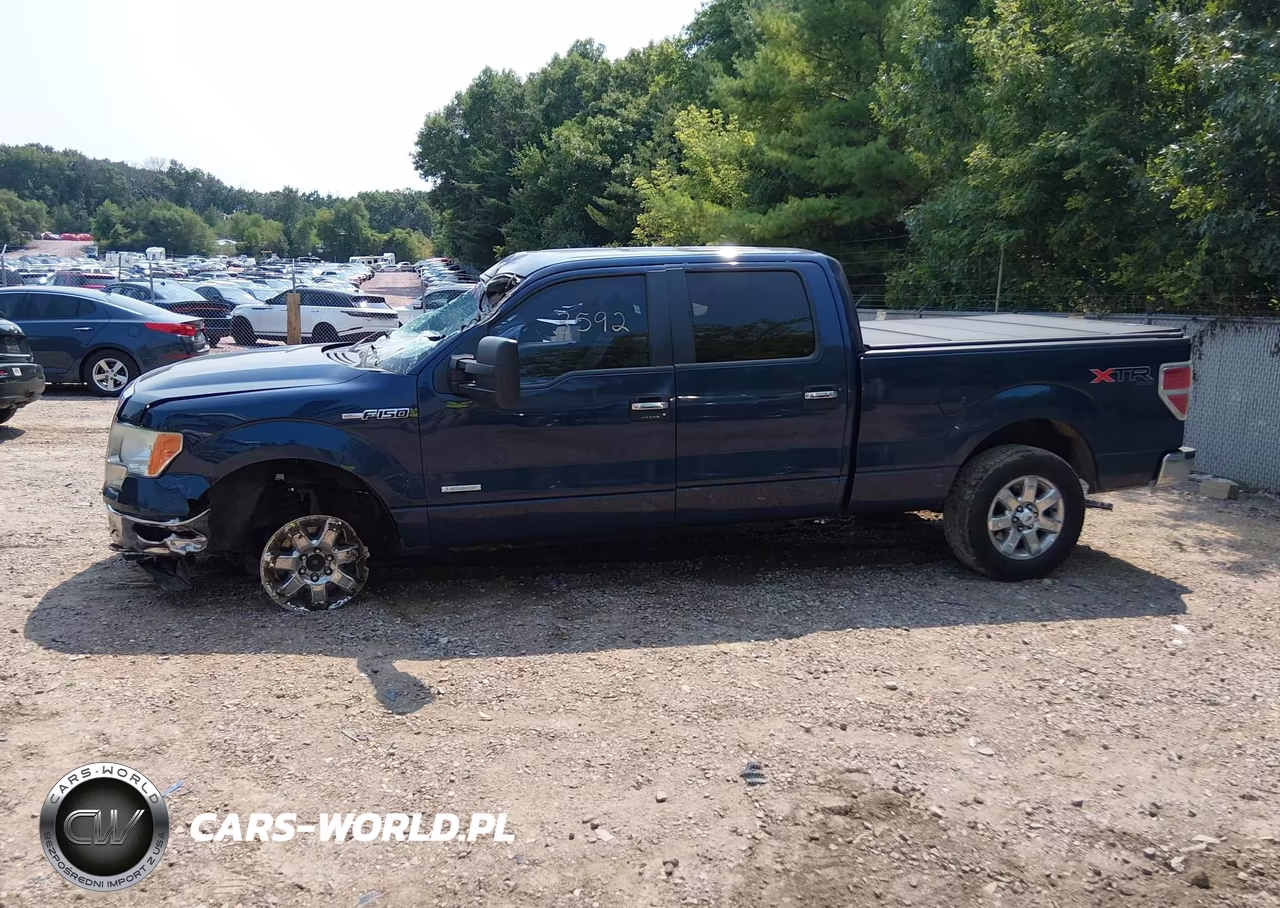 2013 Ford F-150 Xlt VIN:1FTFW1ETXDFB11918 - 15