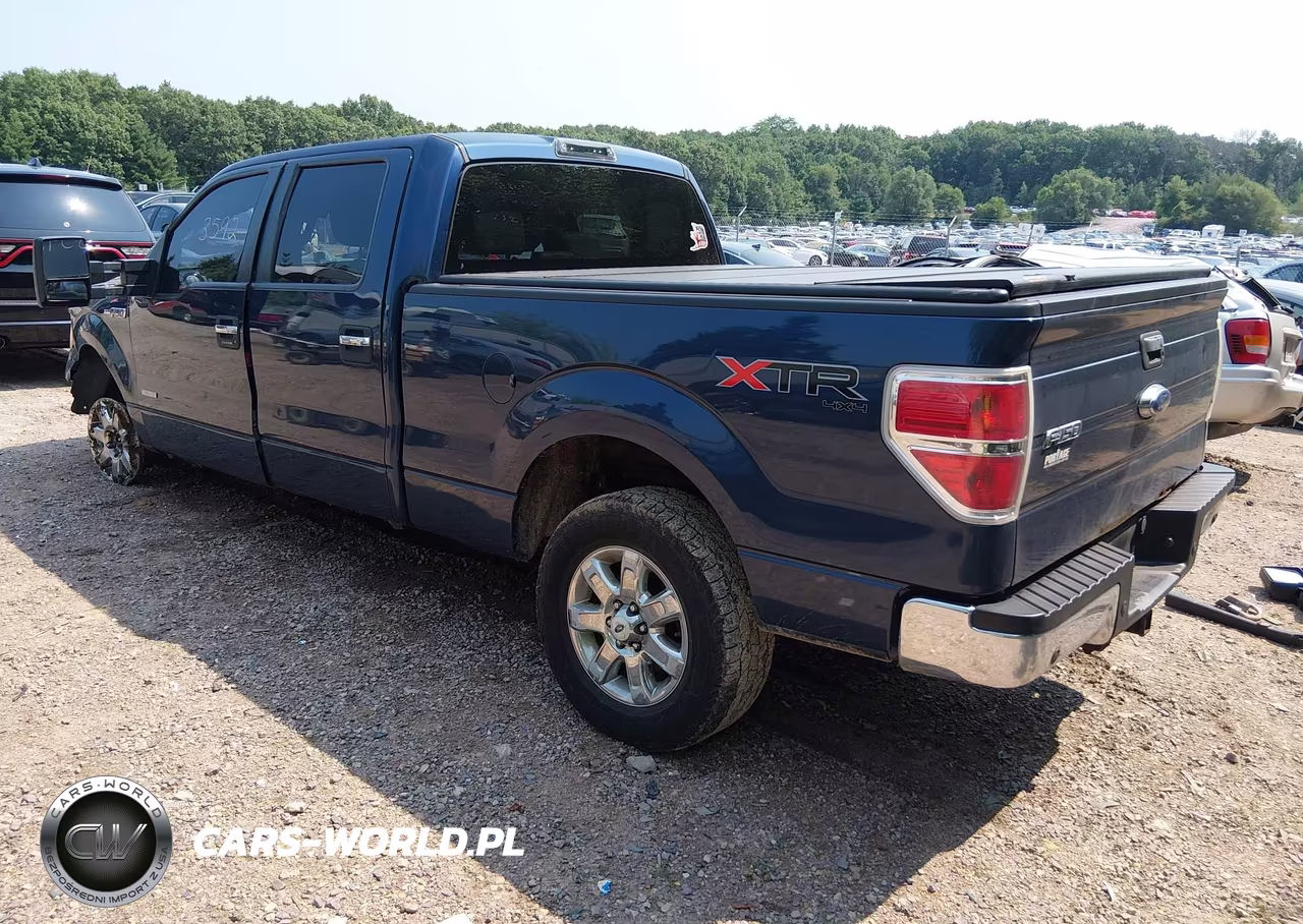 2013 Ford F-150 Xlt VIN:1FTFW1ETXDFB11918 - 3